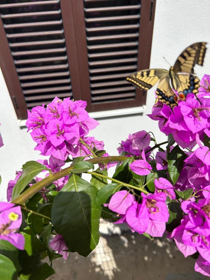 Garden Apartment Dina With Free Parking Split Exterior photo
